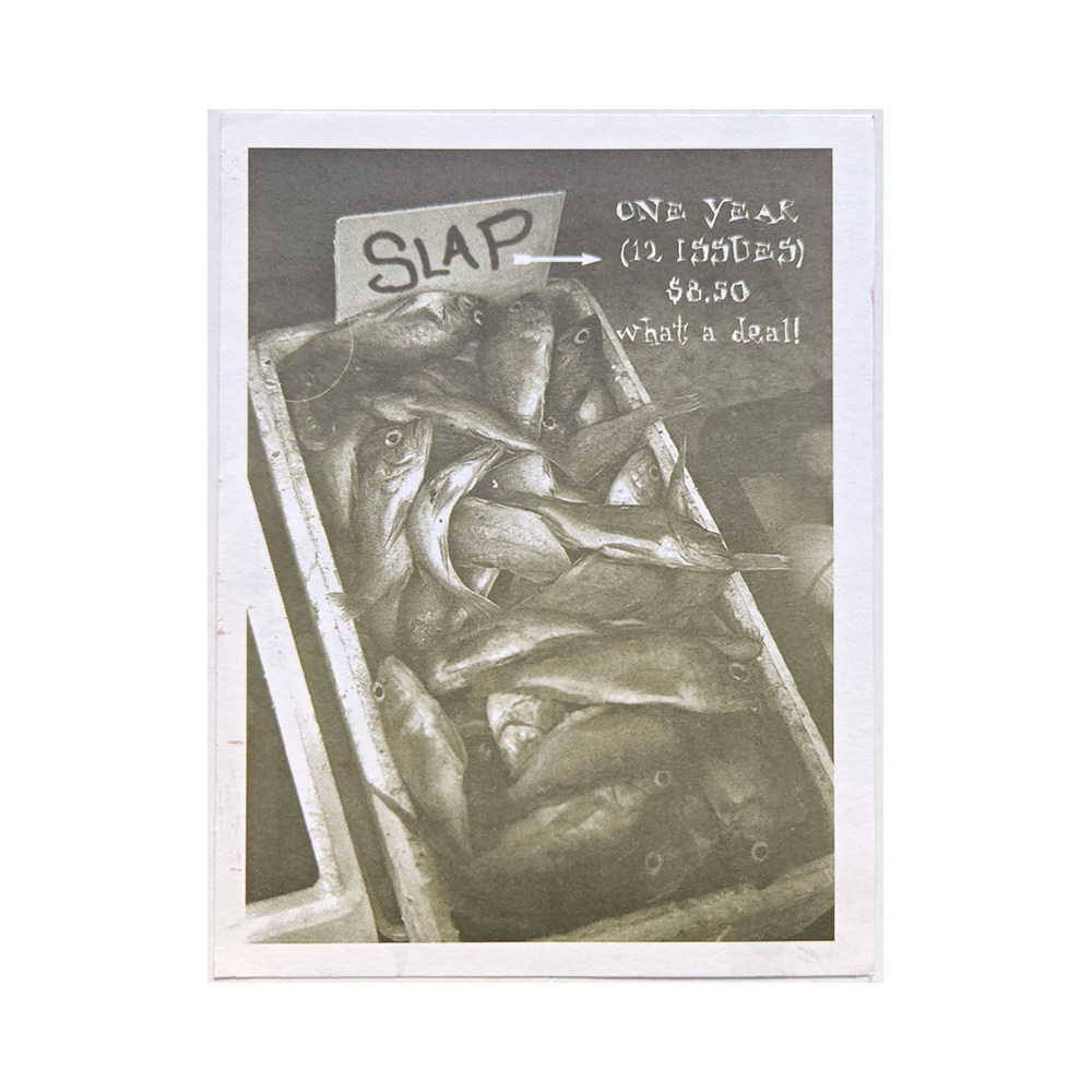 Suscription card from the skateboarding magazine Slap magazine